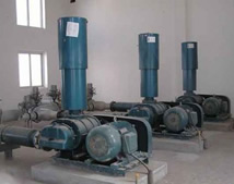 羅茨風(fēng)機(jī)客戶_滄州電廠項(xiàng)目 羅茨風(fēng)機(jī)客戶_滄州電廠項(xiàng)目